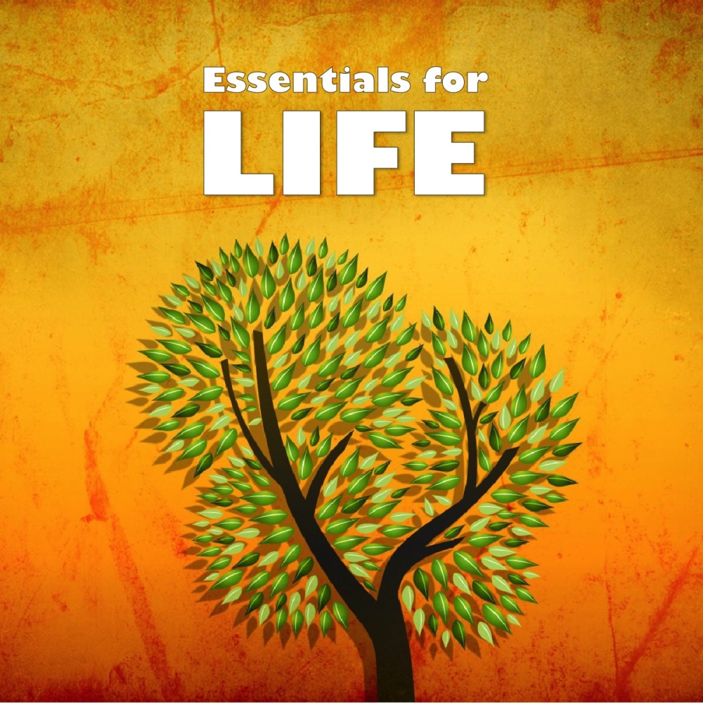 New Sermon Series - Essentials for life.