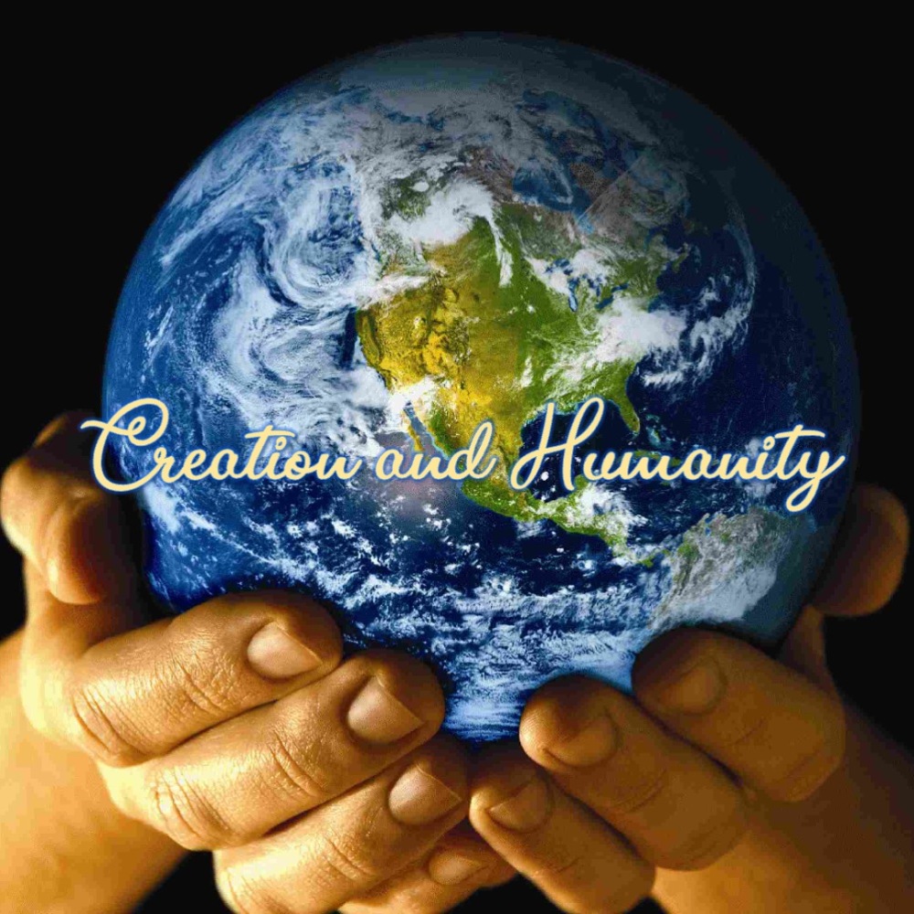 Sunday August 28 - Creation and Humanity
