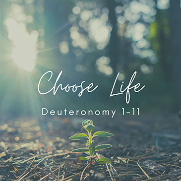 Choose Life